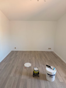 Photo de galerie - Ratissage complet avec pose de trame après enlèvement de la tapisserie puis mise en peinture  