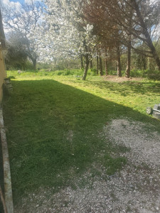 Photo de galerie - Après debrousaillage + tonte