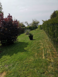 Photo de galerie - Tonte de pelouse et désherbage