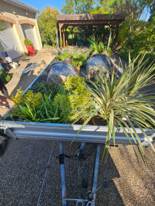 Photo de galerie - Plantation