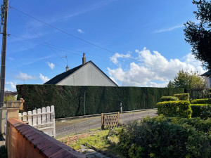 Photo de galerie - Taille de haies et d'arbustes