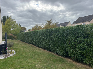 Photo de galerie - Paysagiste - Aménagement du jardin