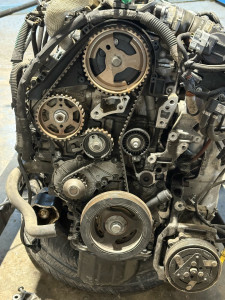 Photo de galerie - Remontage distribution 1.6 hdi 