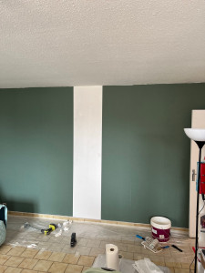 Photo de galerie - Isolation de tapisserie 