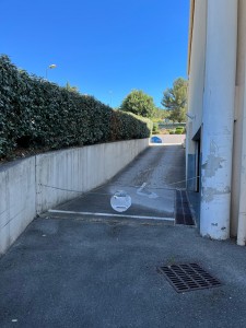 Photo de galerie - Taille de haies et d'arbustes