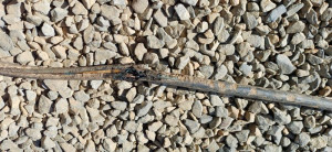 Photo de galerie - Diagnostic d'un défaut d'isolement.
Remplacement du câble d'alimentation enterré entre le disjoncteur abonné et la maison.