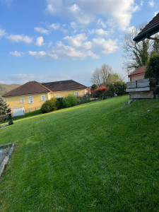 Photo de galerie - Après tonte 