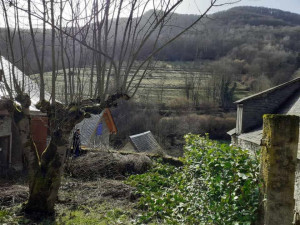 Photo de galerie - Taille haie