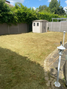 Photo de galerie - Tonte de pelouse - Débroussaillage