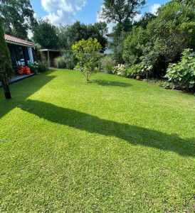 Photo de galerie - Tonte de pelouse - Débroussaillage