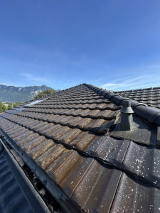 Photo de galerie - Traitement anti-mousse