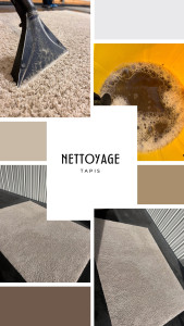 Photo de galerie - Nettoyage tapis