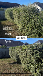 Photo de galerie - Avant - Après d’une haie taillé