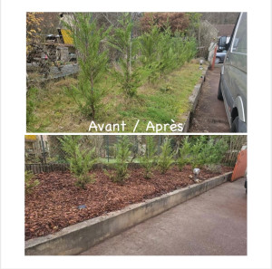 Photo de galerie - Aménagement d'un massif avec désherbage, préparation du sol et pose d'un paillage en écorces naturelles afin de protéger les plantations et apporter une finition propre et harmonieuse.