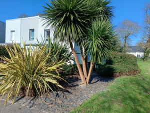 Photo de galerie - Nettoyage de massif