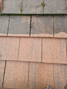 Photo de galerie - Nettoyage avant après de toiture