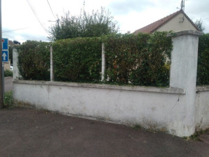 Photo de galerie - Taille de haies et d'arbustes