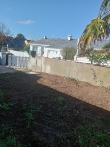 Photo de galerie - Elagage et coupe d'arbres