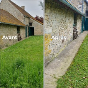 Photo de galerie - Tonte et débroussaillage