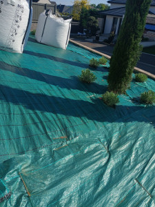 Photo de galerie - Paysagiste - Aménagement du jardin