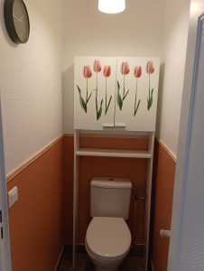 Photo de galerie - Peinture blanche satiné en haut 
terracotta en bas et pose d'une moulure 