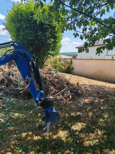 Photo de galerie - Paysagiste - Aménagement du jardin