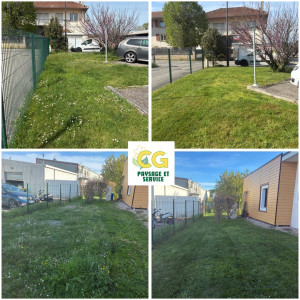 Photo de galerie - Tonte