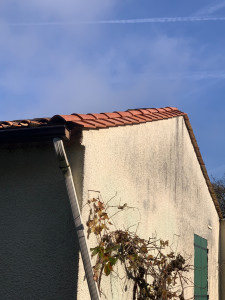 Photo de galerie - Réfection de rives