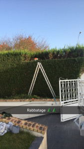 Photo de galerie - Rabattage de haie