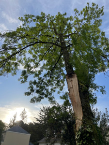 Photo de galerie - Veigne 