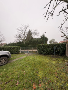 Photo de galerie - Taille de haie laurier palme 