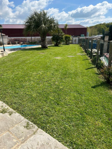 Photo de galerie - Tonte de pelouse