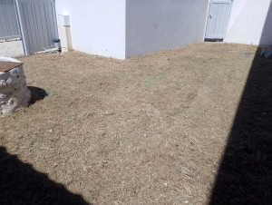 Photo de galerie - Après 