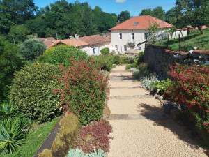 Photo de galerie - Rénovation d'un escalier paysager, recyclage des matériaux et gestion d'espèces invasives 