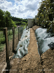 Photo de galerie - Pose de toile de paillage et création de chemin d'accès et d'un portillon 