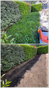 Photo de galerie - Paysagiste - Aménagement du jardin