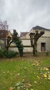 Photo de galerie - Taille