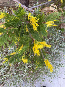 Photo de galerie - Entretien 