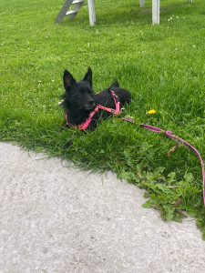 Photo de galerie - ?