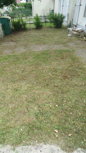 Photo de galerie - Tonte de pelouse - Débroussaillage