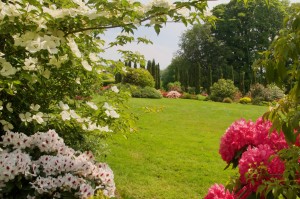 Photo de galerie - Jardin, arrosage