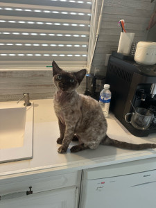 Photo de galerie - ?