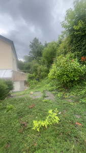 Photo de galerie - Désherbage avant 