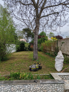 Photo de galerie - Tonte de pelouse, entretien et nettoyage de terrain.