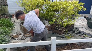 Photo de galerie - Paysagiste - Aménagement du jardin