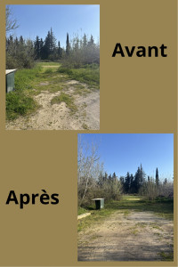 Photo de galerie - Tonte de pelouse - Débroussaillage