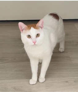 Photo de galerie - Ghost