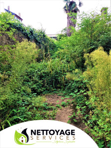 Photo de galerie - Tonte de pelouse - Débroussaillage