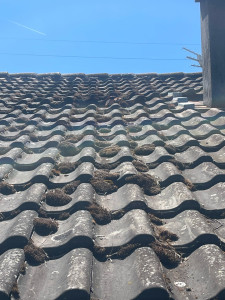 Photo de galerie - Couverture - Toiture