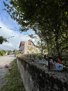 Photo de galerie - Rabattage de haie 